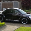 VW New beetle United Edition 2008 1.4i 16V (zuinig, snel, sportief) VERKOCHT